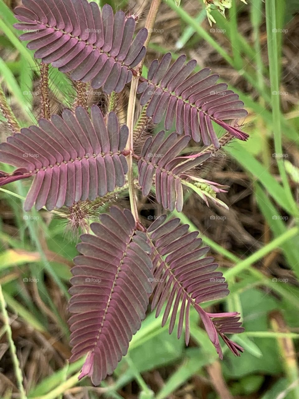 Plants around everywhere.