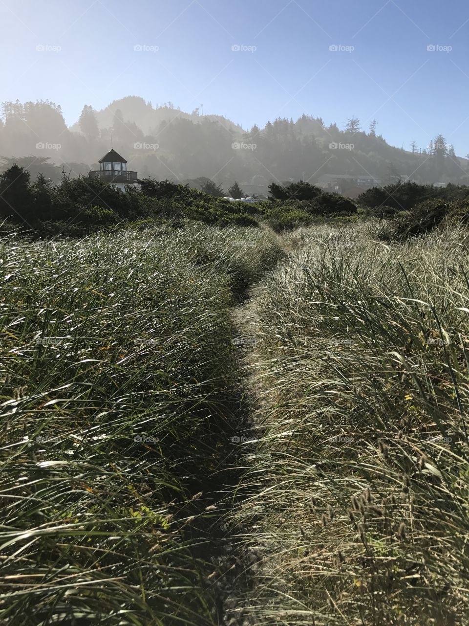 Green Coastal Path