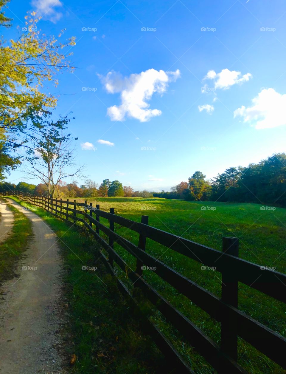 View from the cabin at Bear Creek Wildlife Preserve 