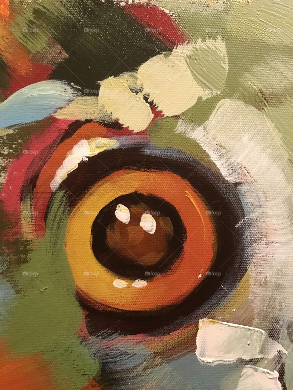 Eye owl painting colors warm