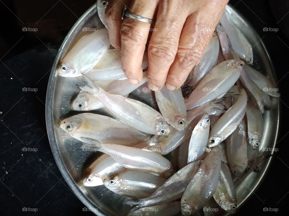 fish on the plate fresh fish human hand