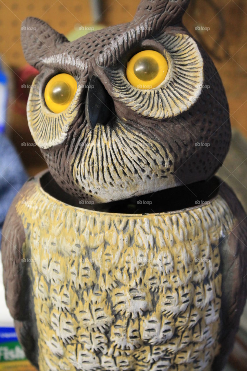 garden owl with broken neck