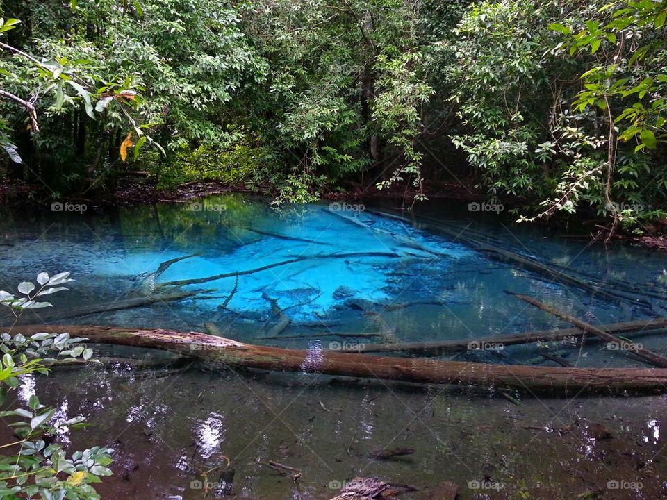 Beautiful blue pool