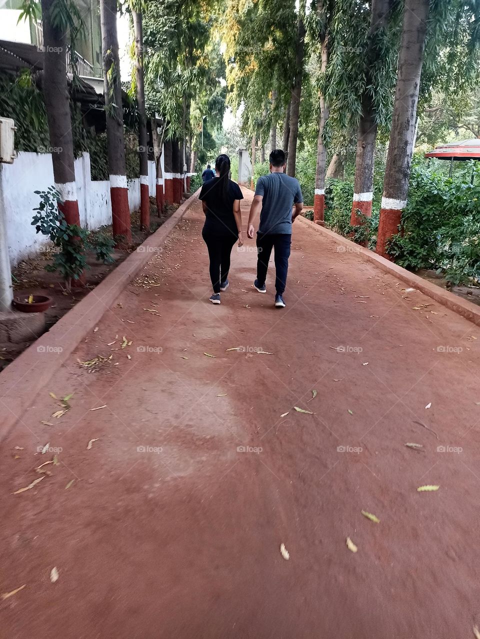 Morning walk
