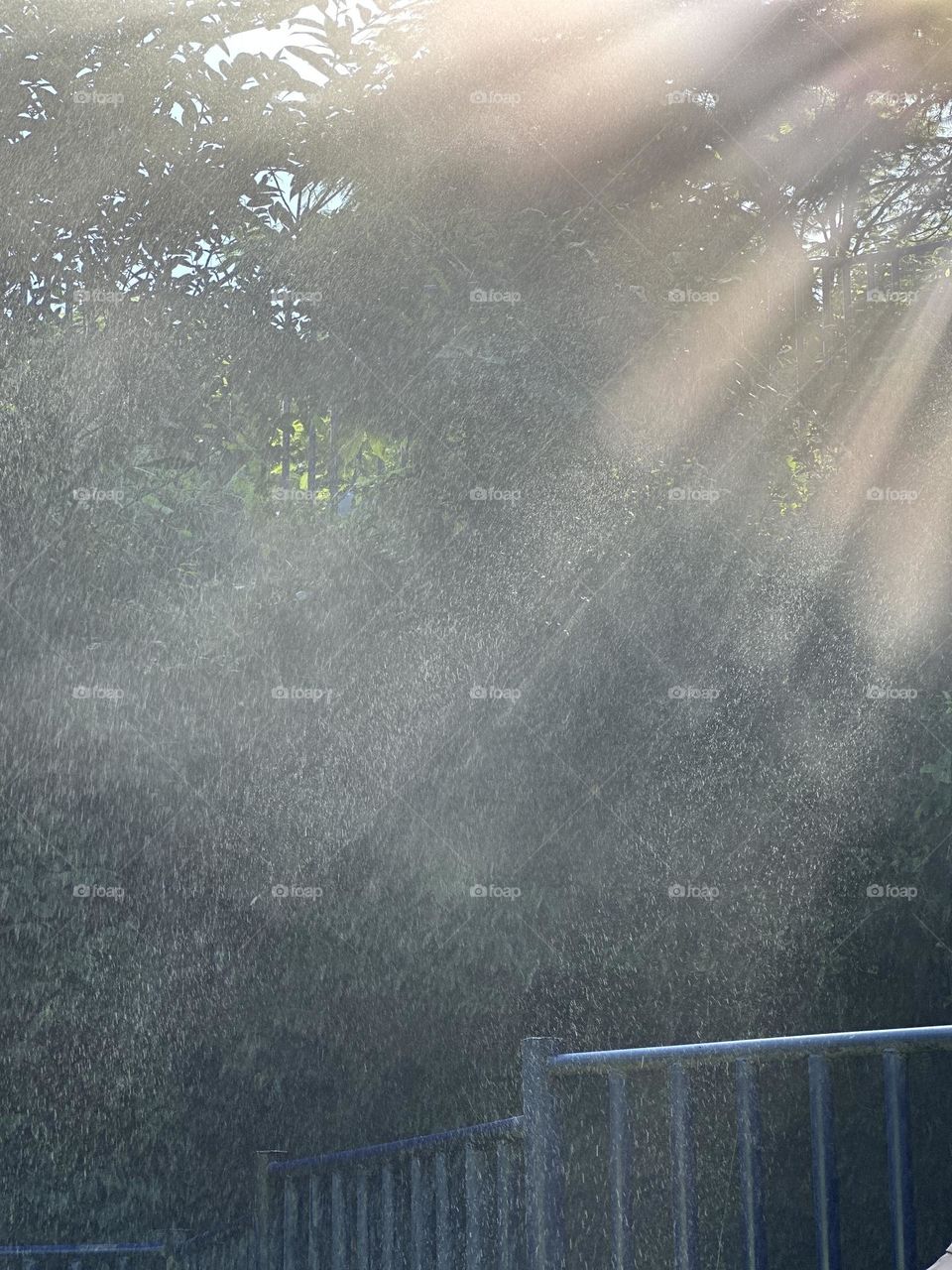 Rain in sunlight 