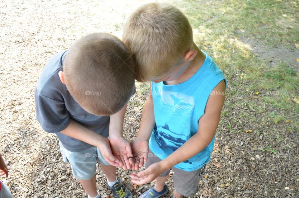 Share a Worm with a Friend Part 2