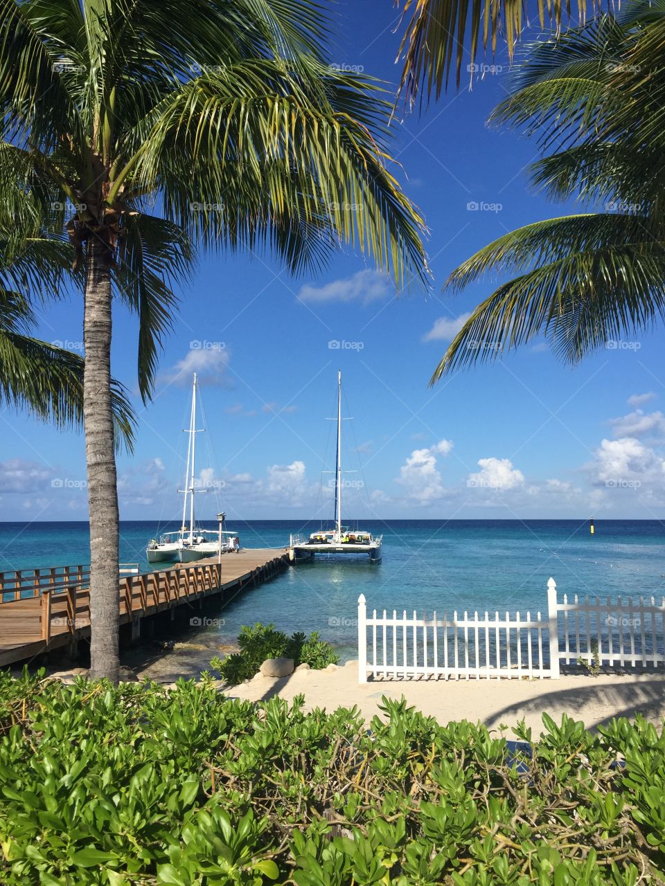 Boat dock tropical