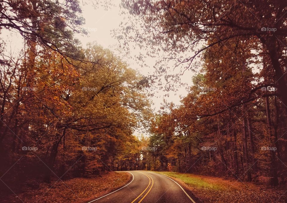 East Texas USA back road in fall