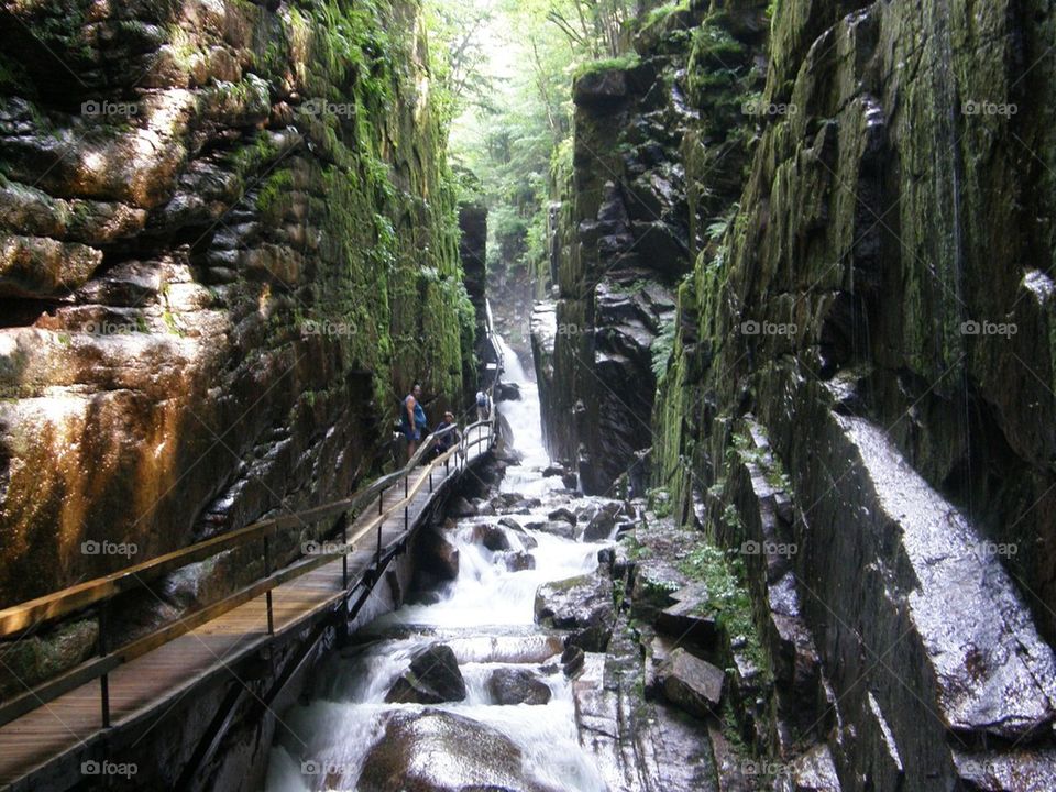 Flume Gorge