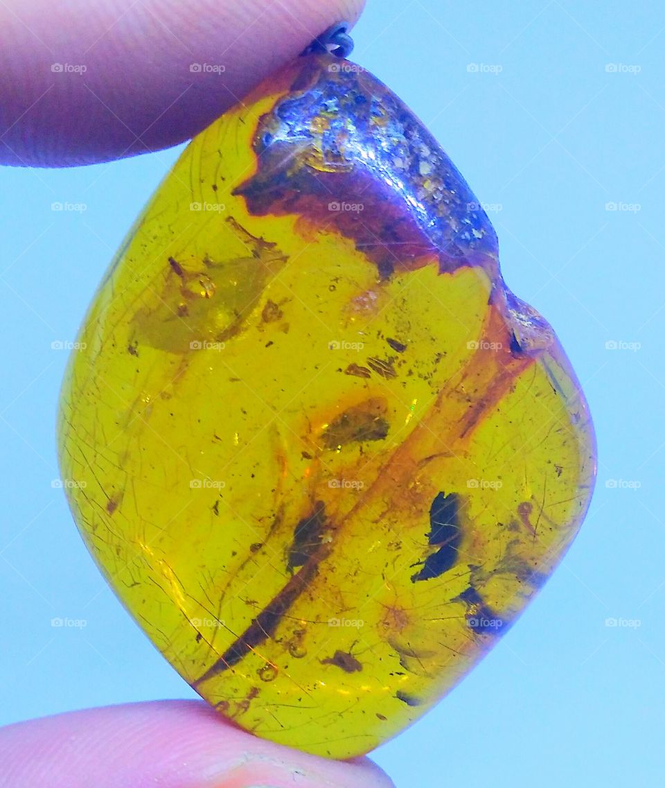 Baltic Sea Amber Pendant