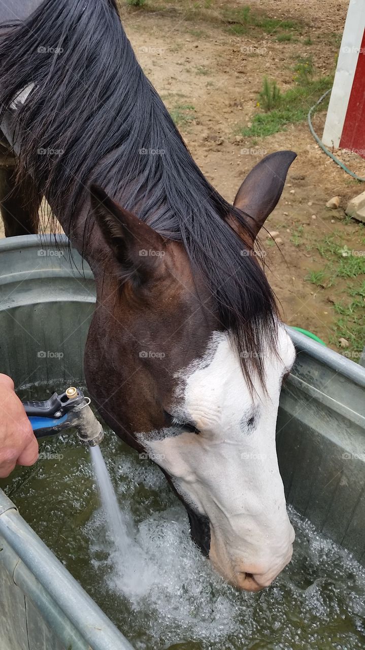 drinking water