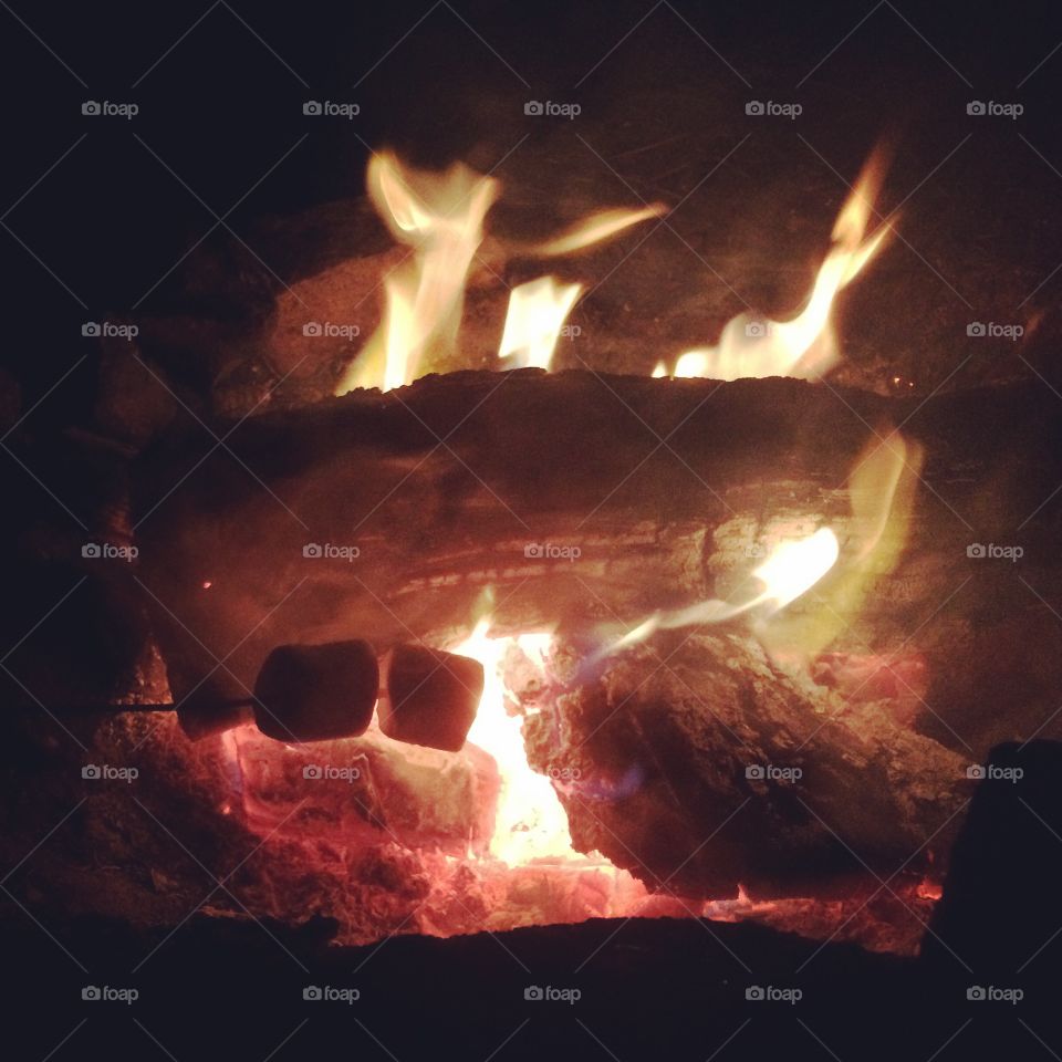 Roastin' Mallows. Campfire Nights