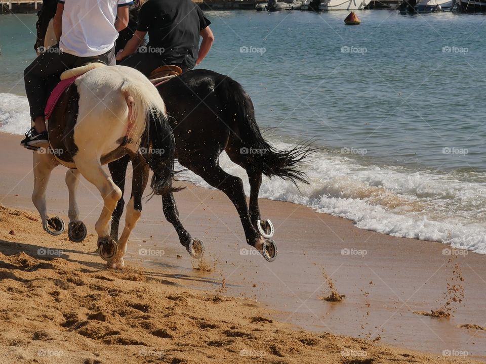 caballos en movimiento por playa