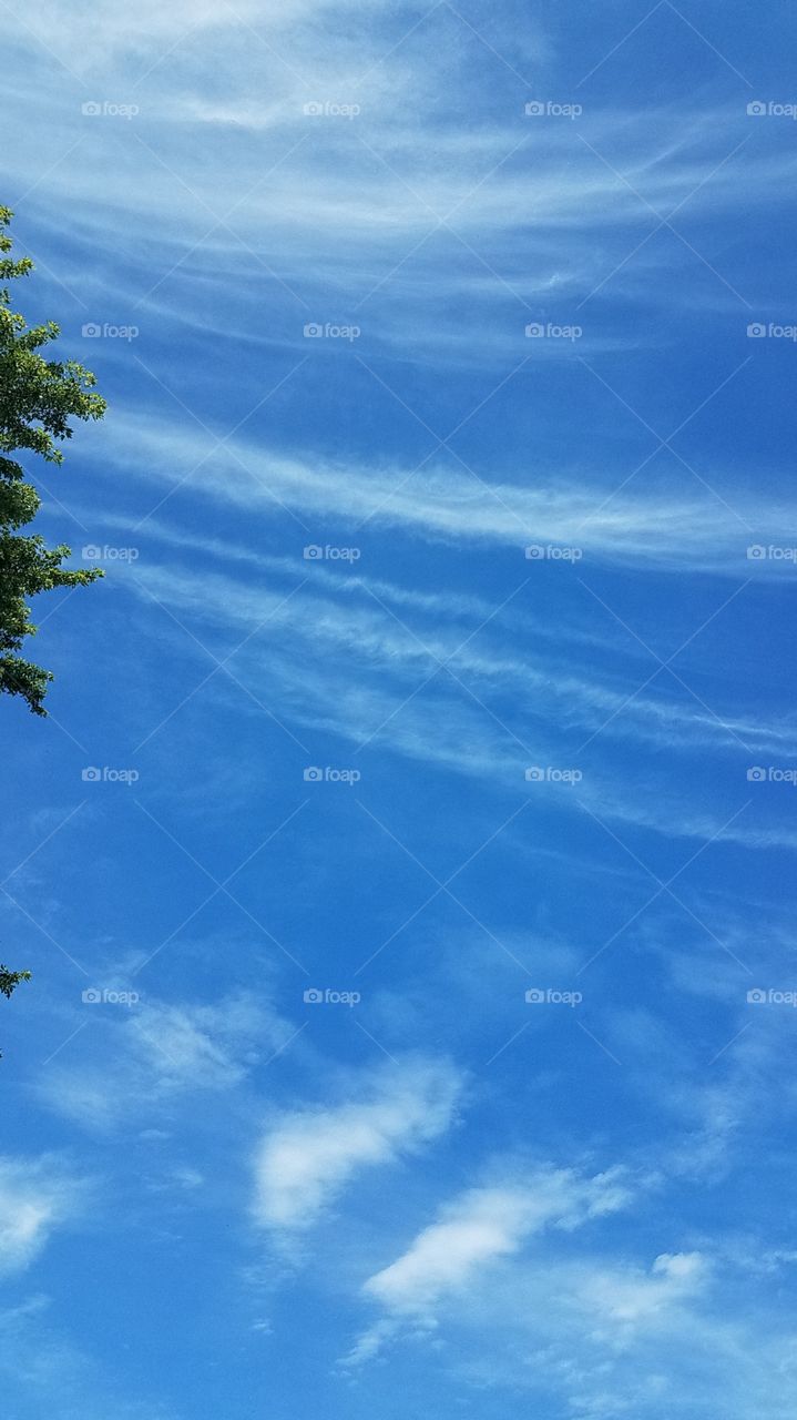 Whispy Clouds