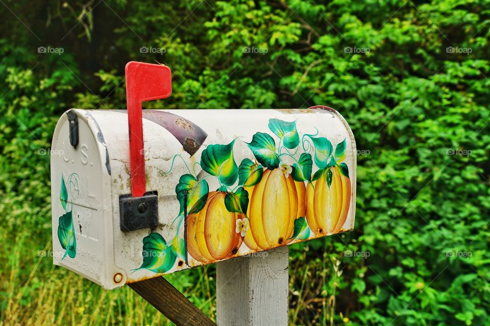 Mailbox Decorated With Pumpkins