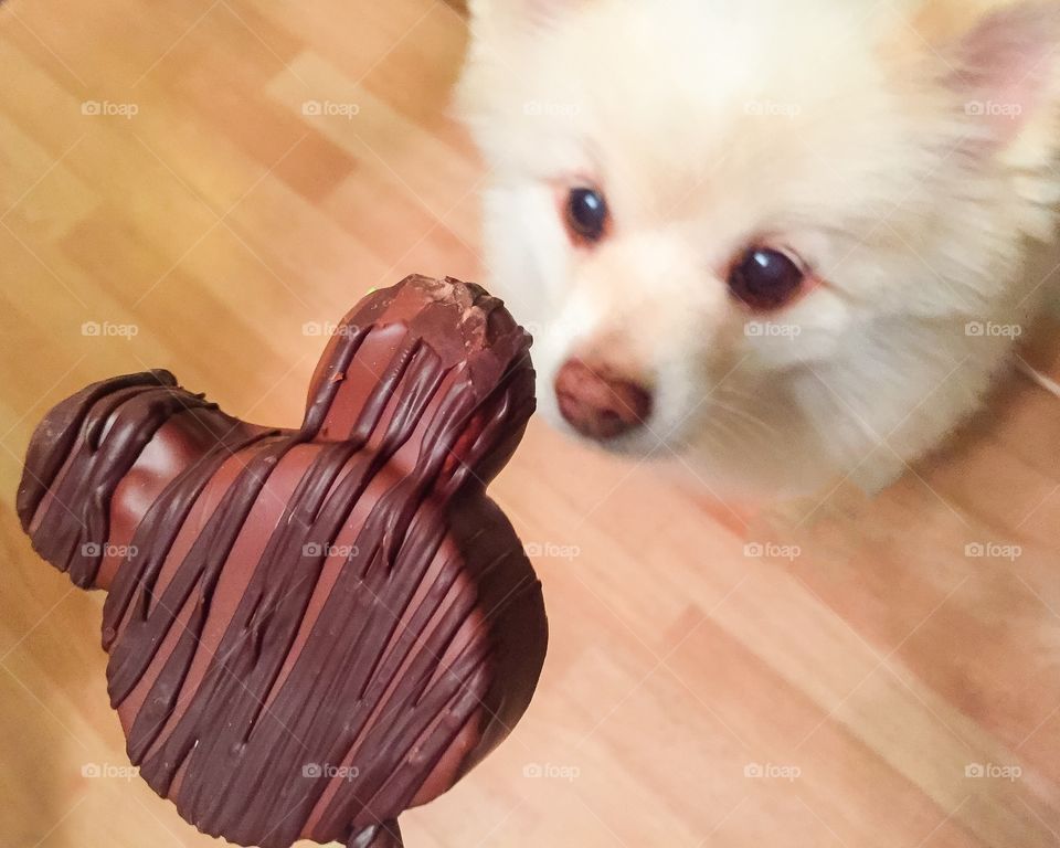 Spock Stares At Chocolate Mickey Mouse