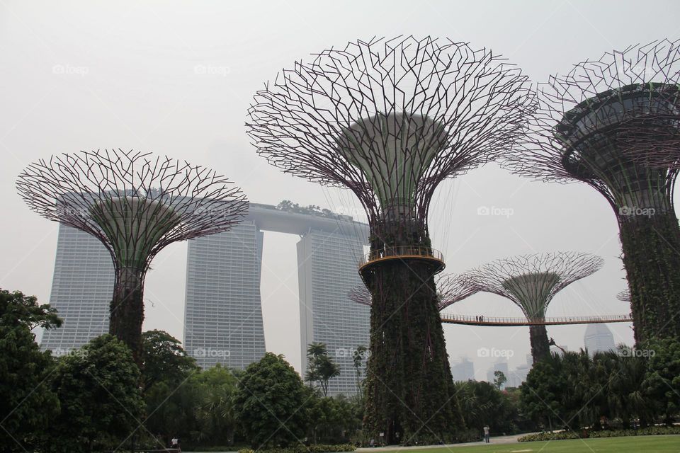 View of Marina Bay Sands by the Super trees - Singapore 