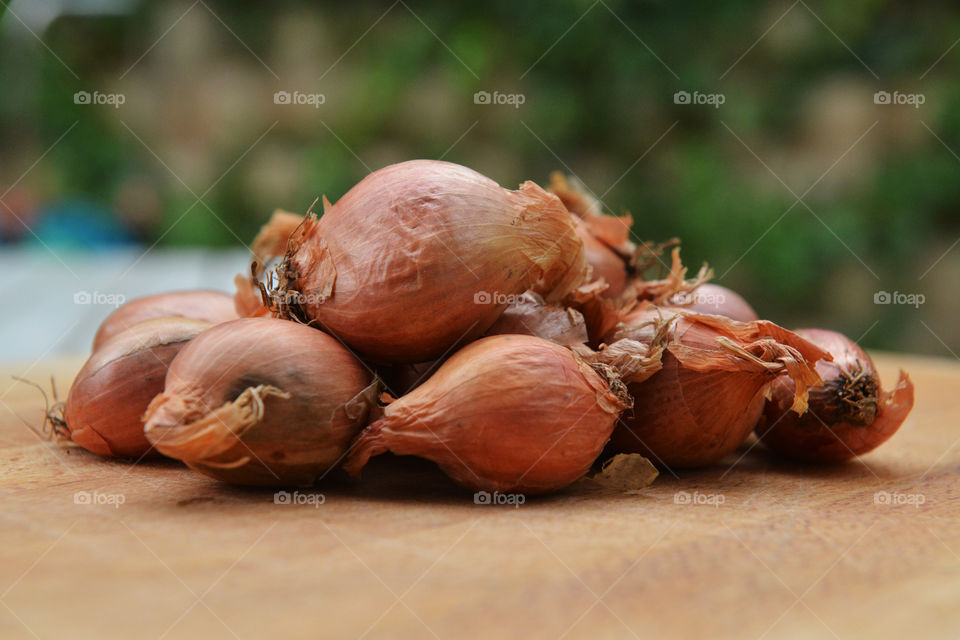 shallots. fresh shallots