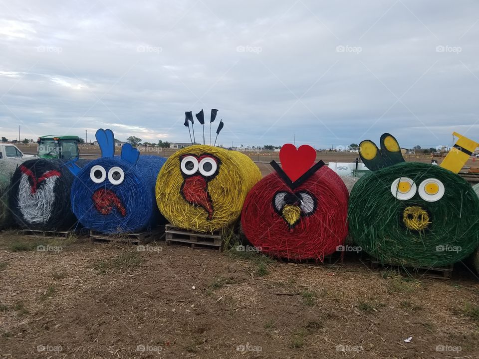 angry birds hay art