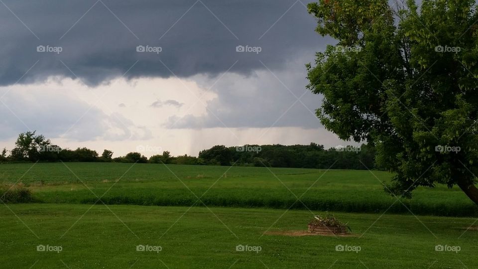 Summer Storm
