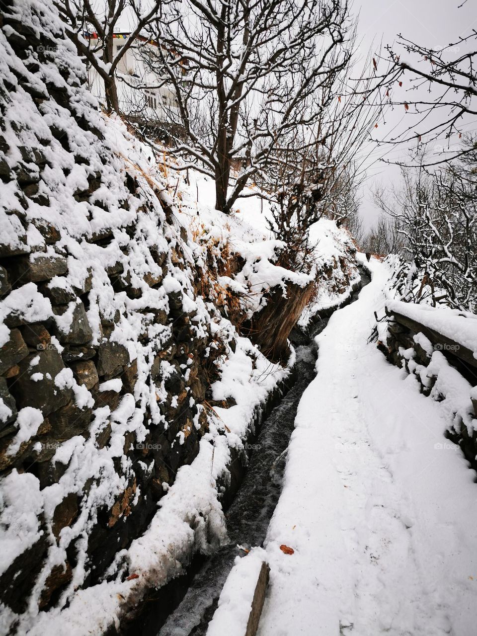 water flowing through snow