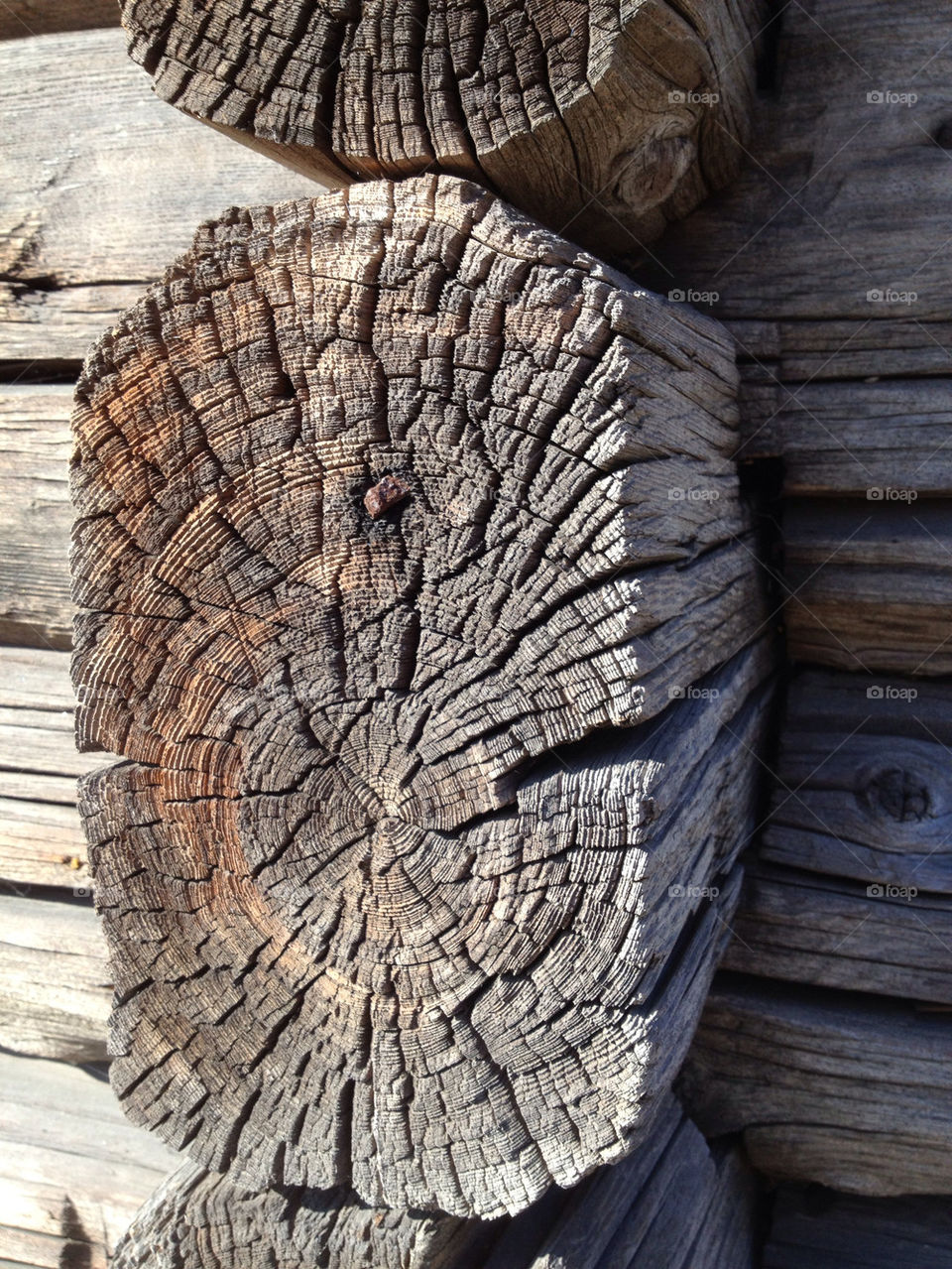 Old timber