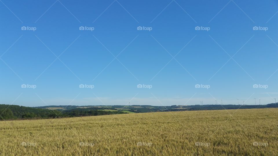 German Farm Fields