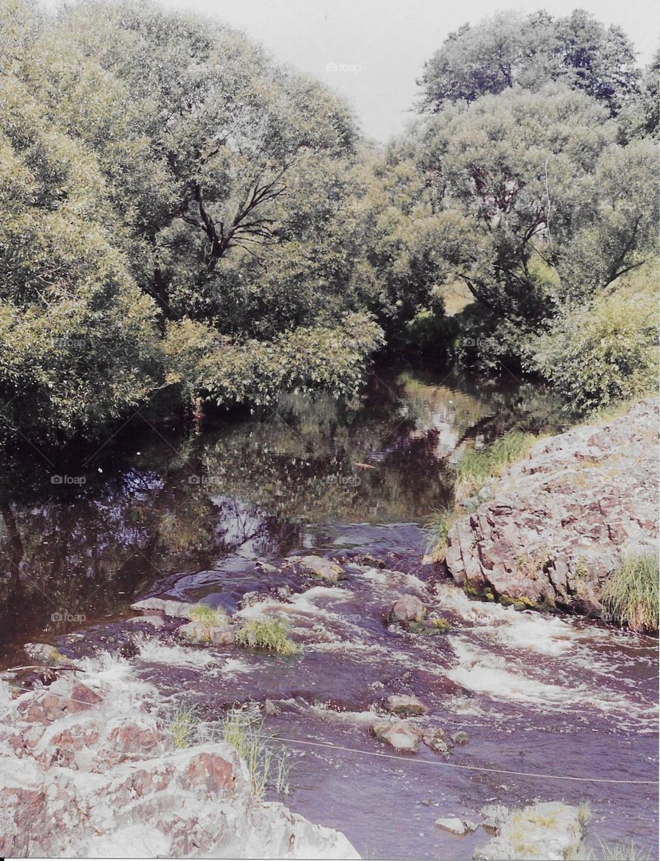 Summer on a small Ukrainian river