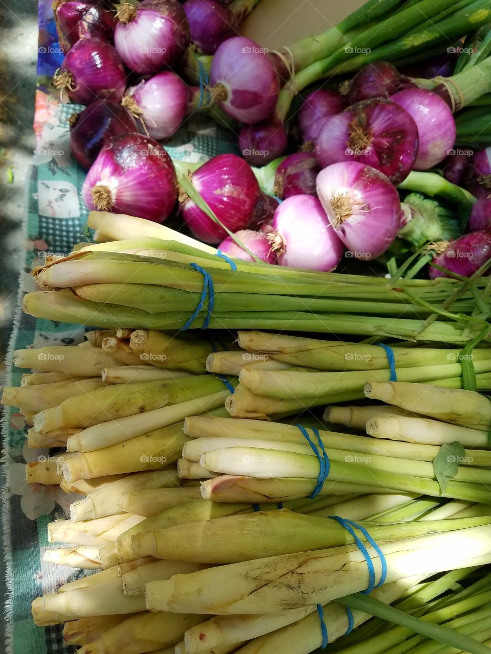 vegetable onion farmers market