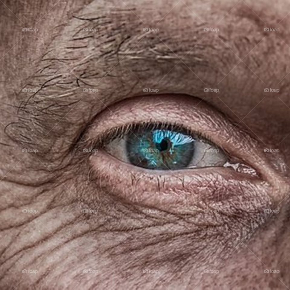 A blue aged eye