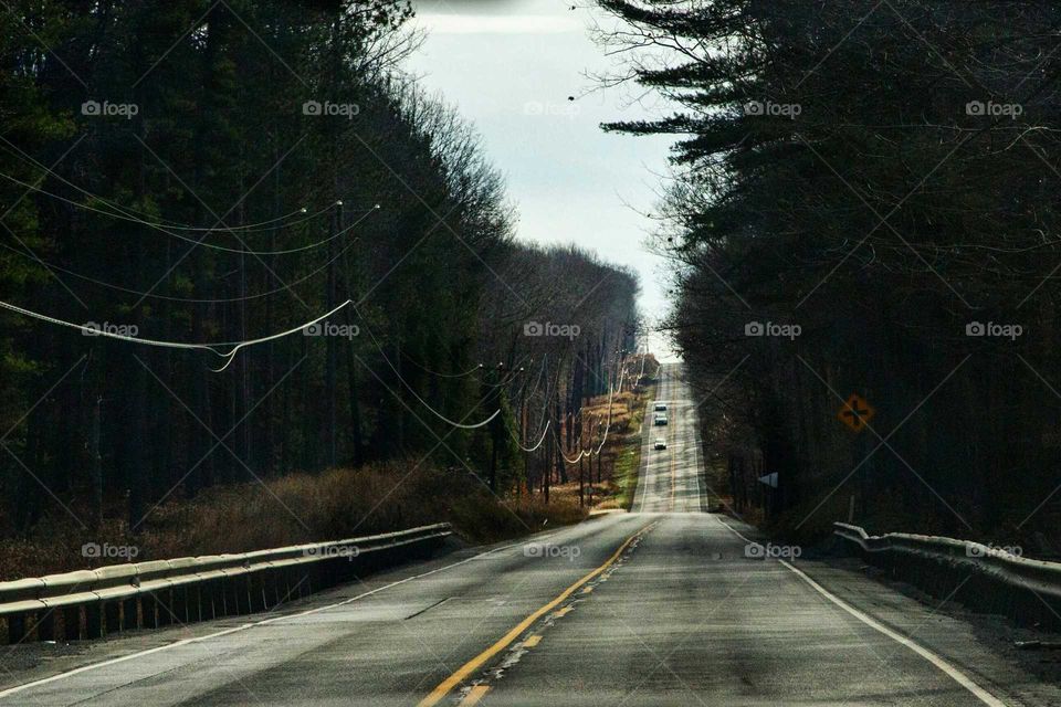 Road along autumn trees