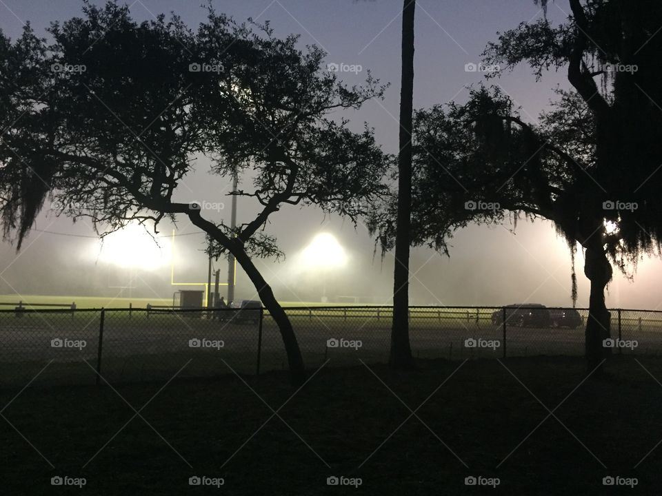 Trees silhouetted against a late-day haze as it envelops a playing field.