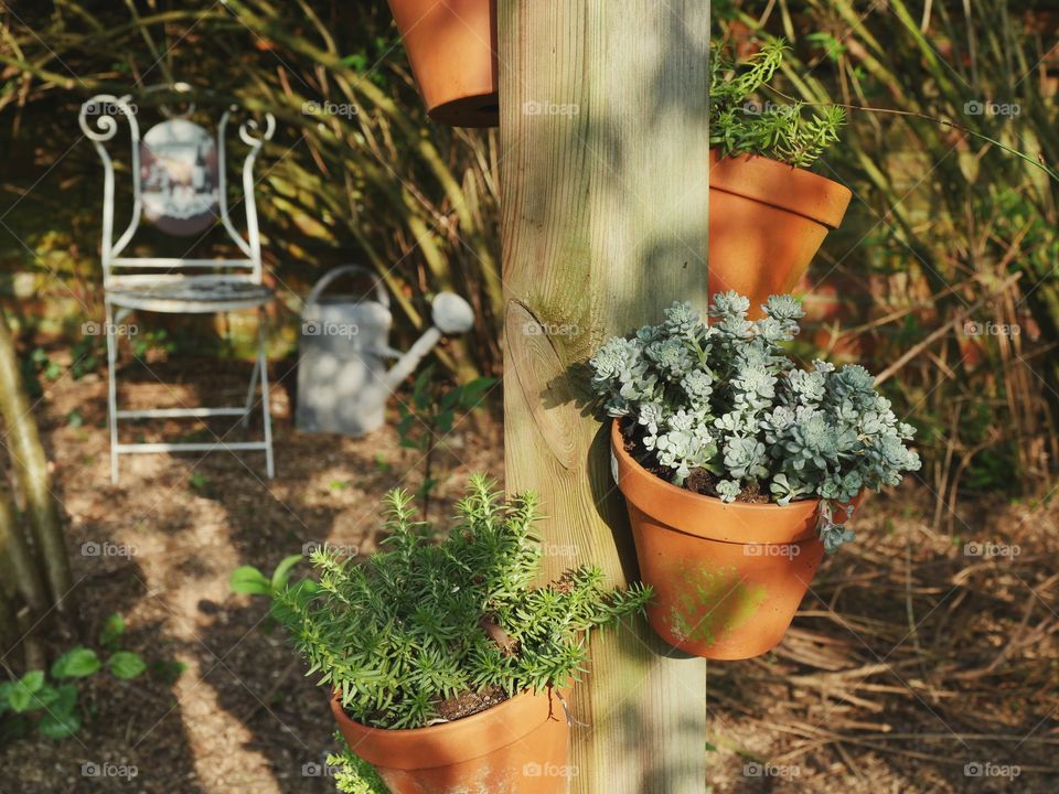 Garden pottery