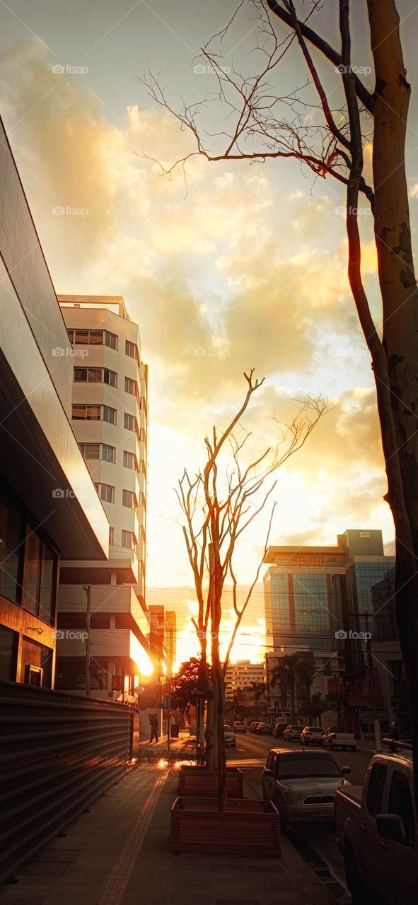 Sunset in the cities