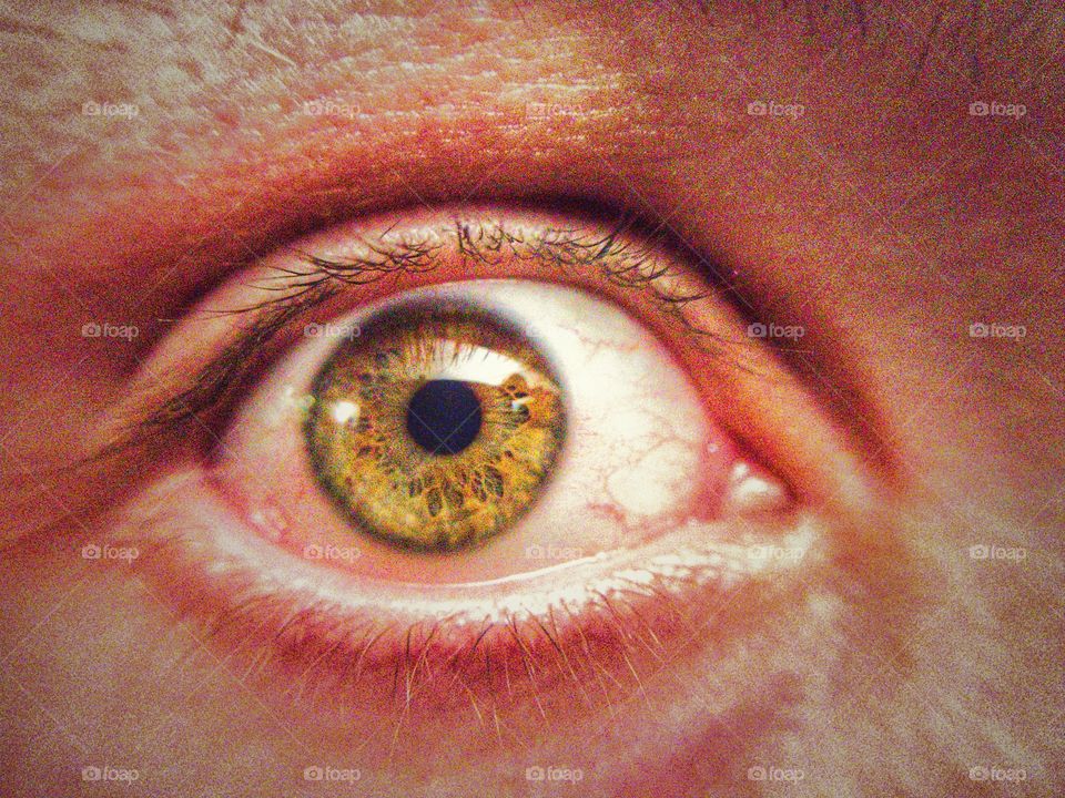 Macro shot of a green eye wide open. 
