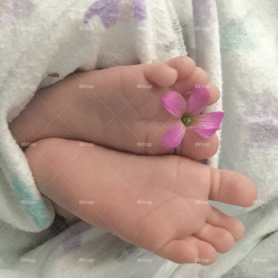 Baby feet and flowers 
