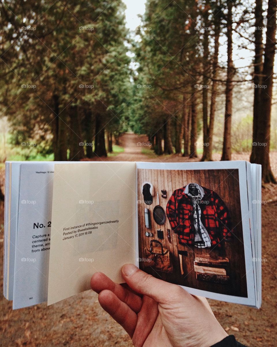 View on the wooden road