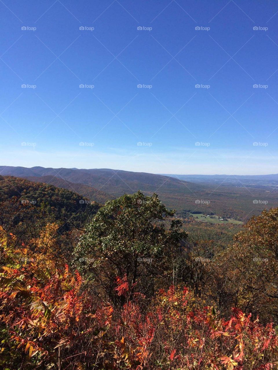 Blue Ridge Mountains Afton, Virginia