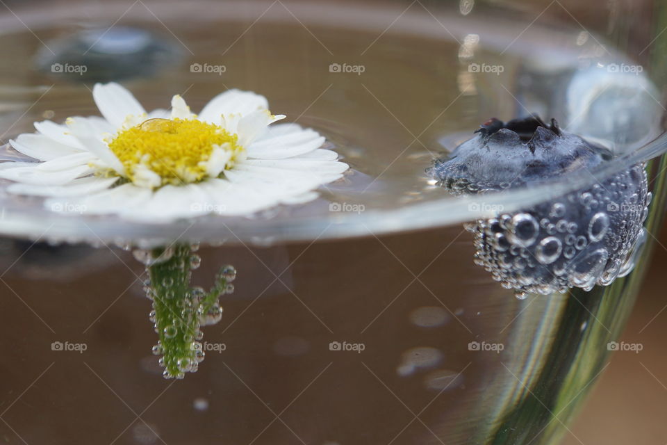 Blueberry floating alongside a daisy 