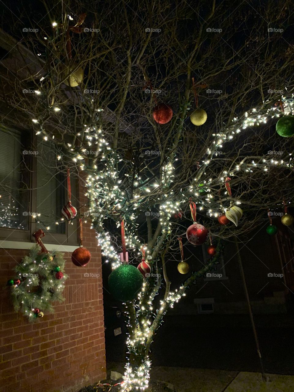 Christmas lights on a tree