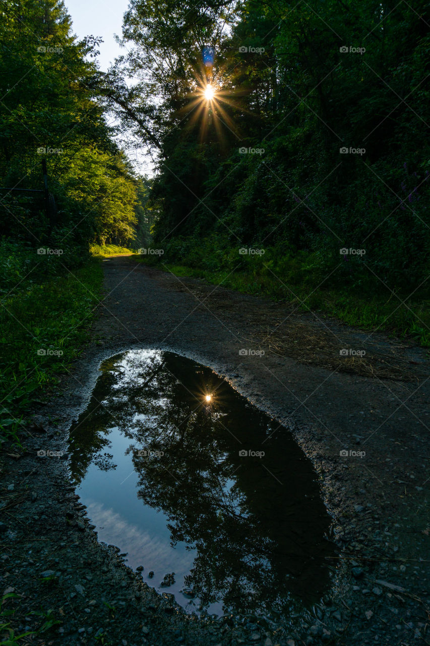 A photographer can turn nothing into a piece of art 