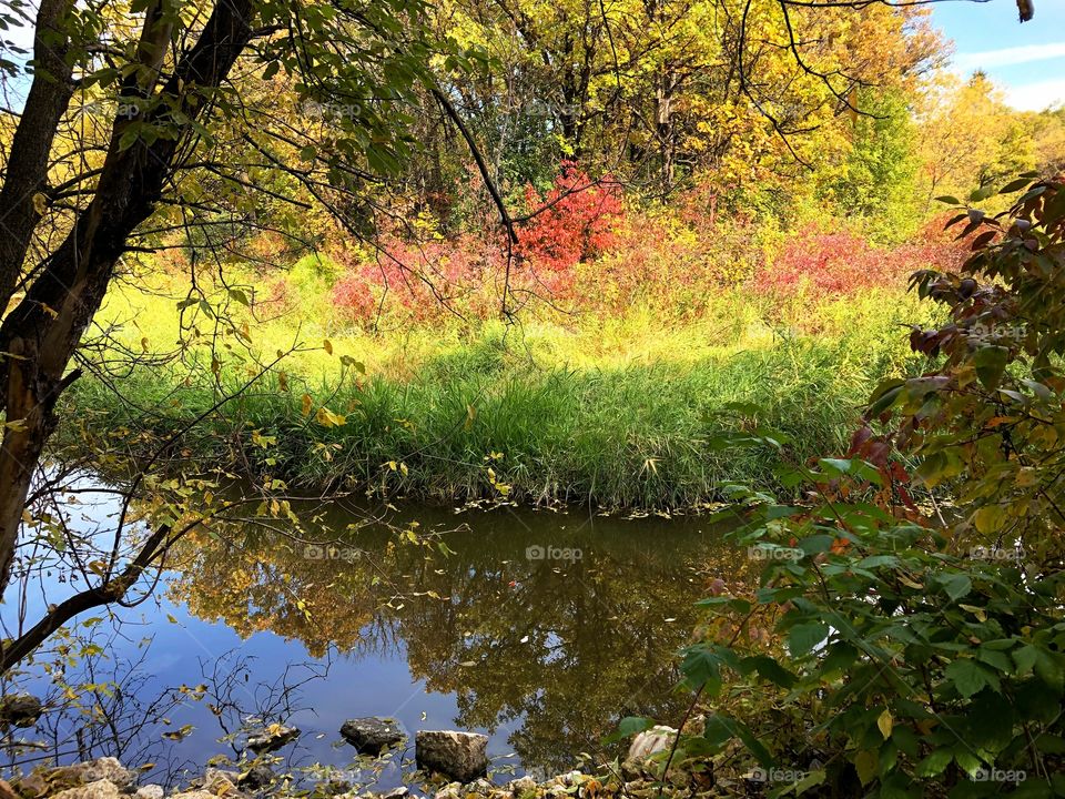 Autumn reflections 