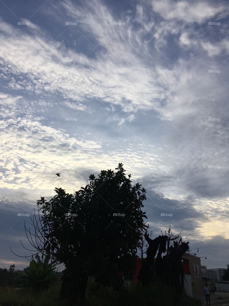 Nuvens, nuvens e mais nuvens: acho que o sol já deixou seu recado de que não virá trabalhar hoje...