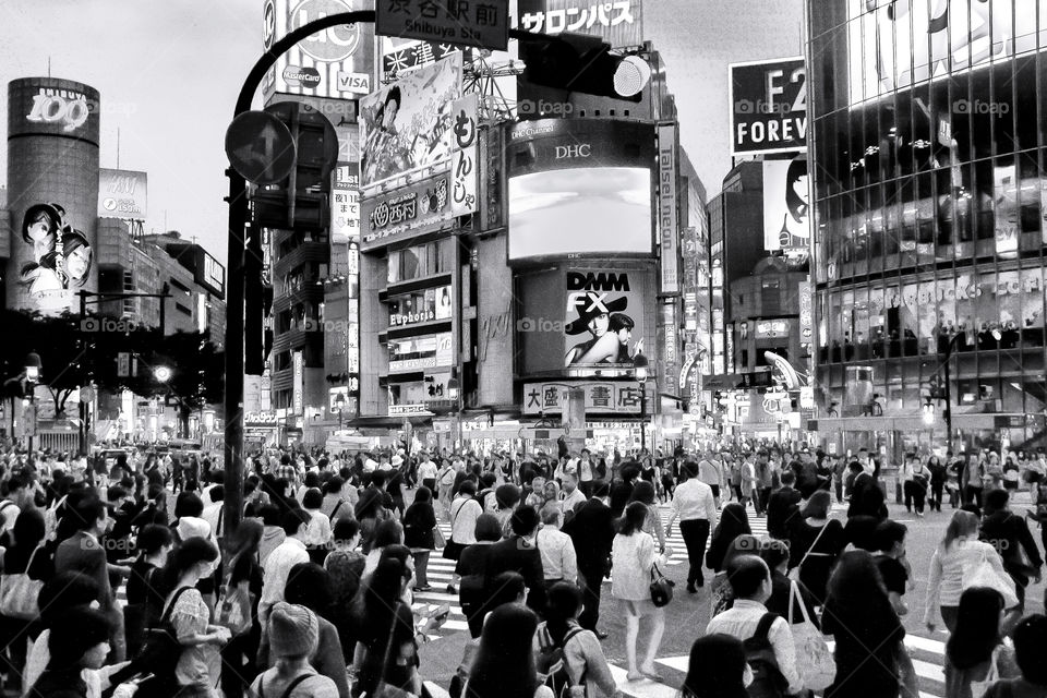 Shibuya Crossing