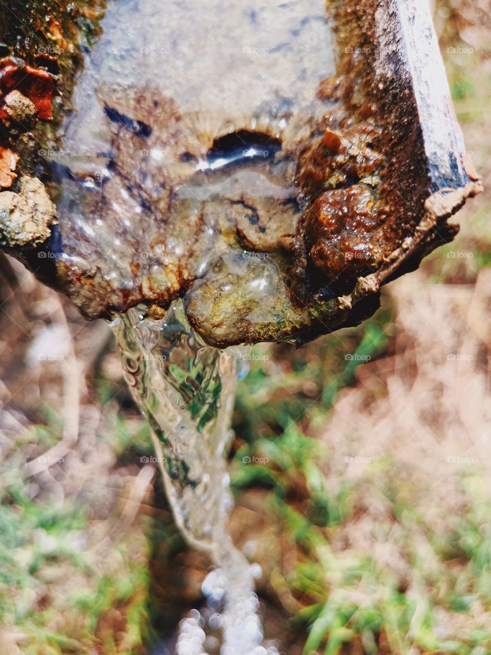 water flowing from bamboo