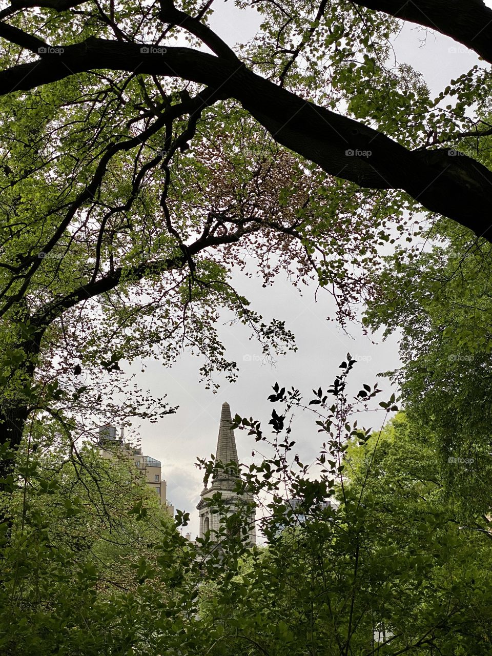 Nature’s frame of a tip of a building. Green trees, dusk, leaves and branches. Summer.