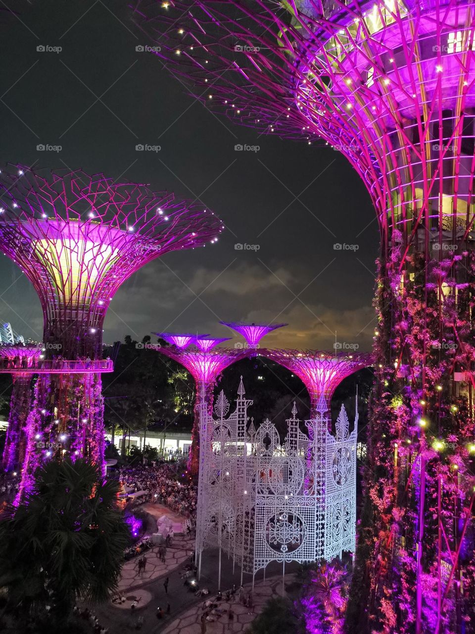Beautiful Singapore, light and music show in Gardens by the Bay. Amazing magenta color.