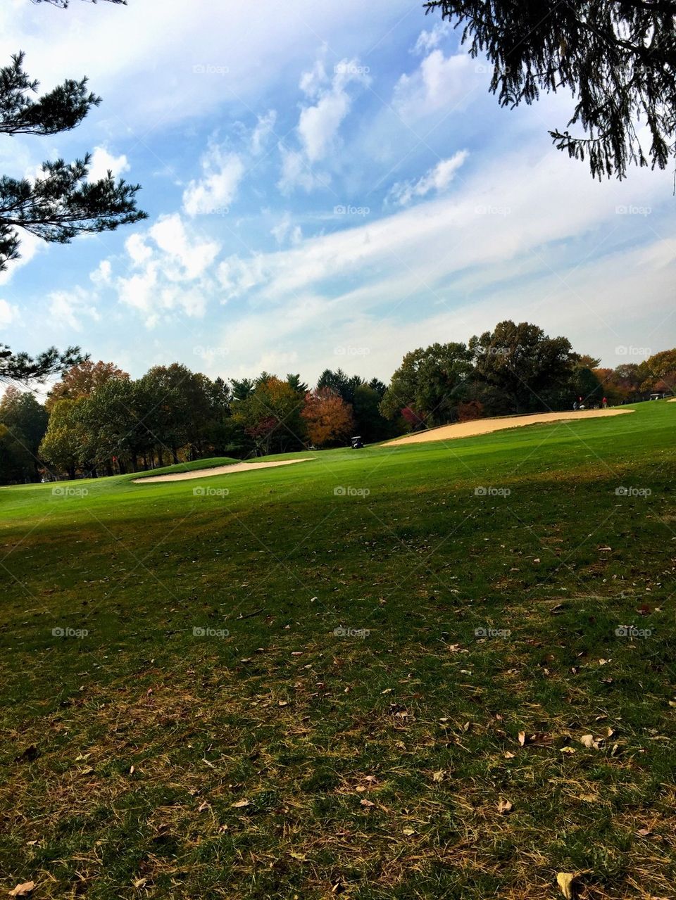 Fall golf 
