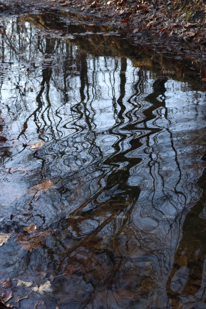 Rippling water in the woods.