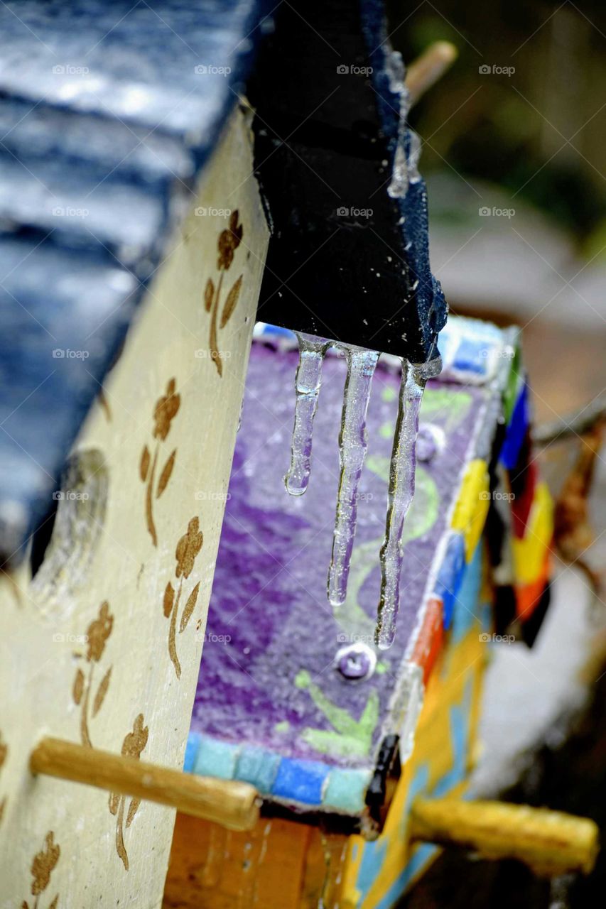 Birdhouses in Winter